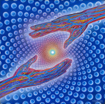 Lunar Solar Duality