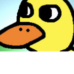 The Mad ducks