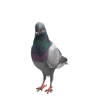 Roblox entity thumbnail