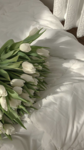 TeamAylaa