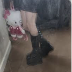 cult of the kitties