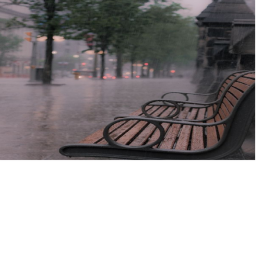 Rainy day in the park..
