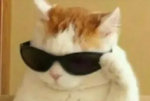 ميو#