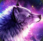 The~Galaxy~Crew