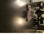 Puppiesandpigs