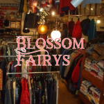 Blossom fairys