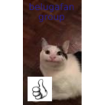 belugafangroup