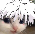 Catsme:3