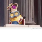 The King Bob Squad