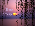 Blueberrycowgang