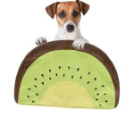 Kiwi psy