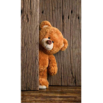 Cuddles teddys squad