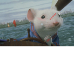 THE RATS12345678910