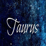 TaurusStyle_clothing Store