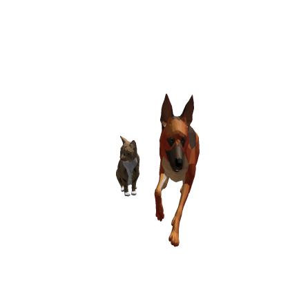 Cat & Dog