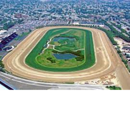 Race Track tycoon jail and more