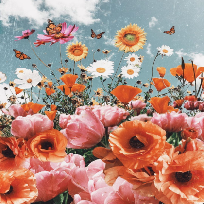 ASTHETIC FLOWER BACKGROUND  Roblox decal