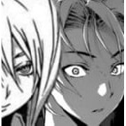 Icon1FWBanner