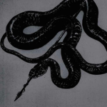 x Viper x