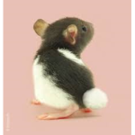 RATZCLOTHINGLINE
