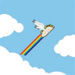 Flying Taco's