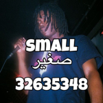 small صغير