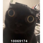 Bbhehehfhehf