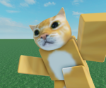 CatRBLX Workshop!