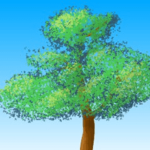 Anime Forest