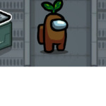 u mam