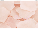 ~The Blush Pink Astetic~