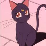 kitty...!