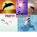 prettydxlphins