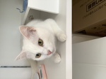 ゆいここのお家