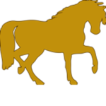 Equestris Singulares