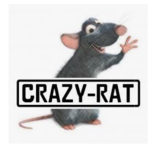 CRAZY RATS!!!