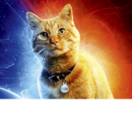 Avenger Cats