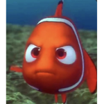Nemo’s buds :)