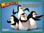 Urban Penguins of antarctica