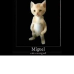 Miguel fan group <3