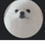 The Egg Dog (E.D) group.