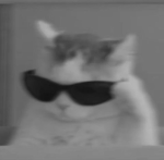 lesgarsriches
