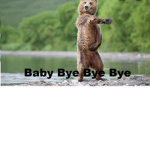 Bye :>