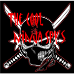 NinjaKillers