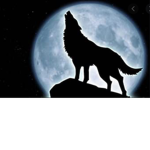 The Crew of Wolves