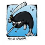 Ninja Narwhals