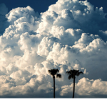 Clouds riding academy!
