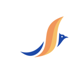 clearSky Group