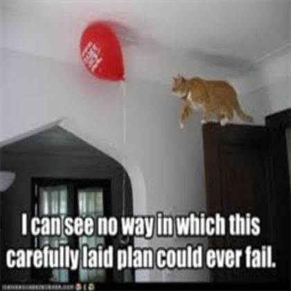 kitty is funny Roblox decal