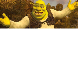 Shrek town